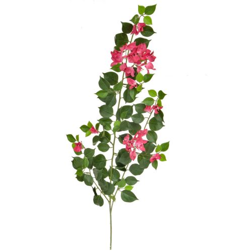83cm (3ft) Foliage Bougainvillea - Pink / White (Fire Resistant)