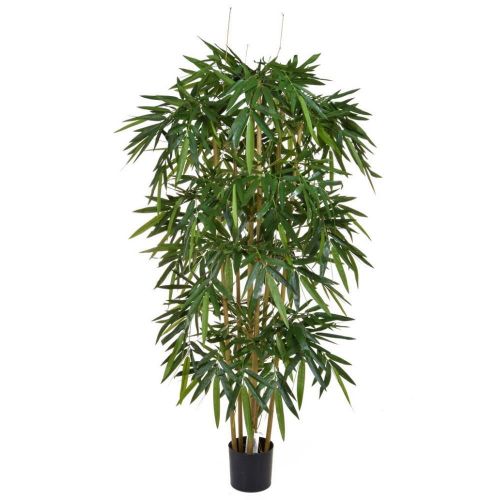 5ft (150cm) Bamboo with Natural Tree Trunk