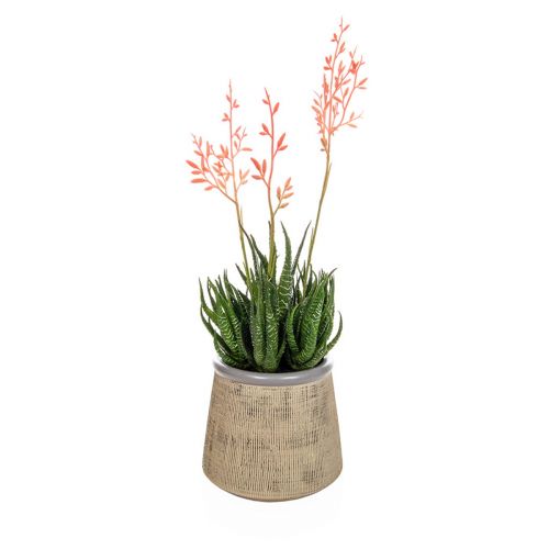 37cm (1.5ft) Flowering Aloes in Beige Pot