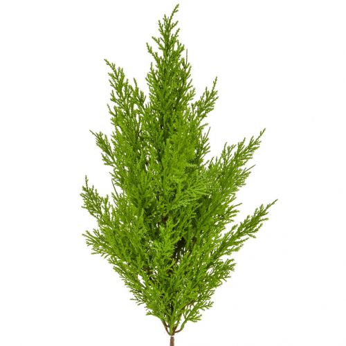(54cm) Topiary Cedar Mini Pine Green
