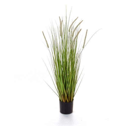 90cm Dogtail Grass with Pot (Fire Resistant)