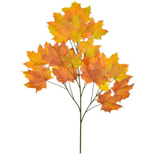 80cm Foliage Maple North American Red (Fire Resistant)