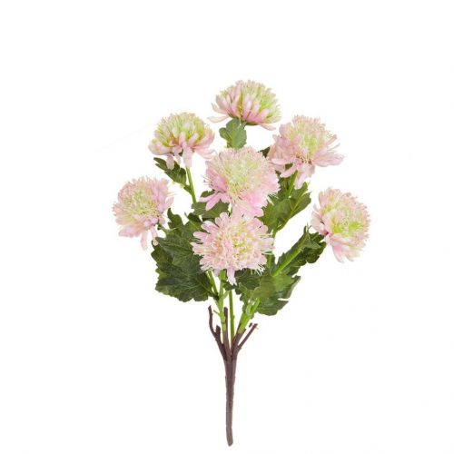 43cm (1.5ft) Flowering Chrysanth - Pink