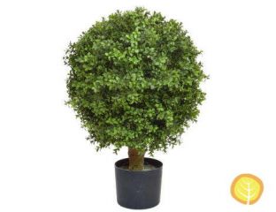 50cm Topiary Buxus Ball (UV)