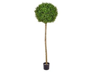 150cm Topiary New Buxus Ball Tree