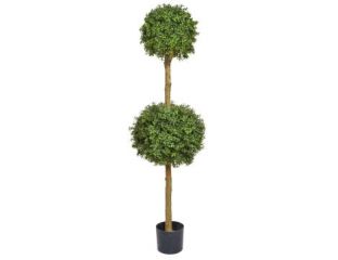 Topiary Buxus Double Ball Tree - Commercial Version (150cm)