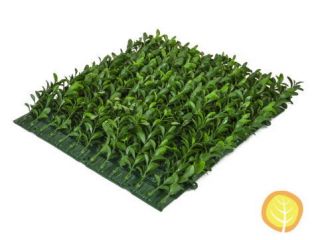 25cm Square Buxus Topiary Wall Mat (Fire and UV Resistant)