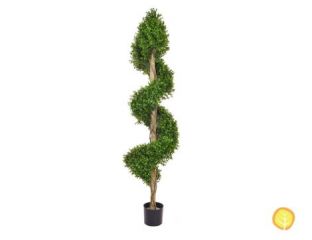 150cm Topiary Buxus Spiral UV