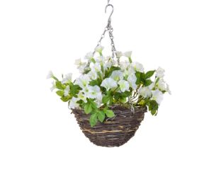 25cm Hanging Basket Petunia - White