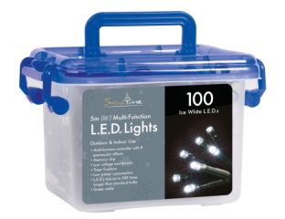 100 White LED Multi Function Christmas Lights with Timer