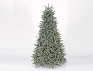 210cm Louise Fir Blue
