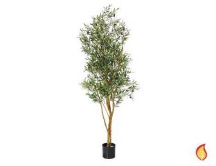6ft (180cm) Natural Tree Trunk Fruit Olive (Fire Resistant) - Green 