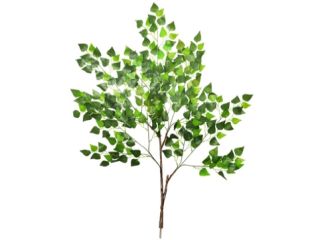 105cm (3.5ft) MultiBranch Medium Birch Branch