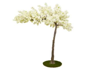 11ft (320cm) MultiBranch Canopy Tree Cherry Blossom – Cream