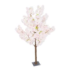 4.5ft (140cm)  - CreamCherry Bloss- Pink