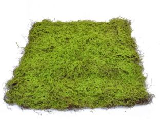 90cm x 90cm Topiary Moss Pad - Green