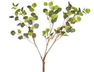 Multibranch 70cm Eucalyptus Branch