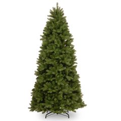 Newberry Spruce 7.5ft (225cm) Slim Tree