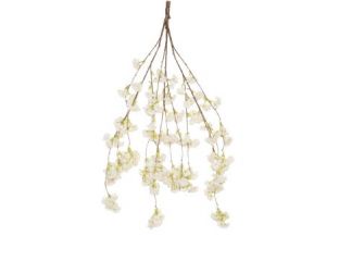 110cm MultiBranch Hanging Cherry Blossom Branch – Cream