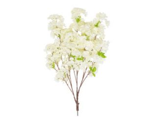 82cm MultiBranch Cherry Blossom Branch – Cream