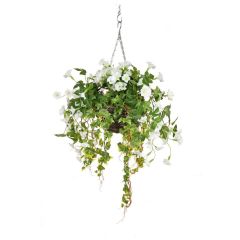 Medium Hanging Basket Petunia - White
