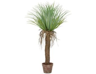 95cm Palm Cycas in Brown Pot