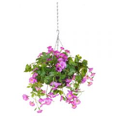 48cm Hanging Basket Petunia - Pink