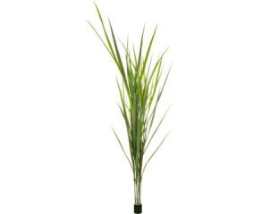Grass Reed (180cm)