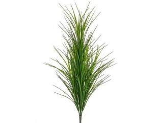 80cm Wheat Grass Green (UV Protected)