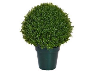 Topiary Rosemary Ball (42cm)