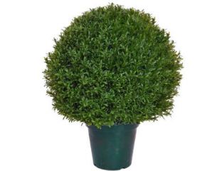 Topiary Rosemary Ball (52cm)