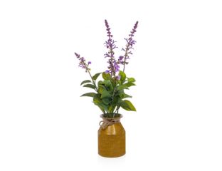 Lavender in pot (48cm)