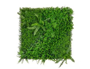 Greenwall Fenwick Mix (1m x 1m)