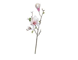 88cm (2.8ft) Large Magnolia Stem - Pink