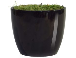 V-Pot N-Ceramic - Black (11cm)
