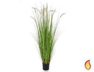 150cm Dogtail Grass D with pot (Fire Resistant)
