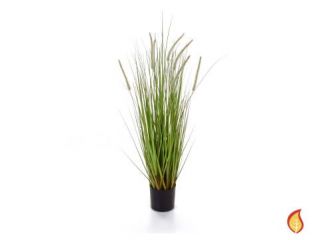 58cm Dogtail Grass with Metal Pot (Fire Resistant)