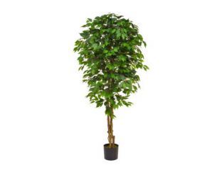 180cm Ficus Contract - Green