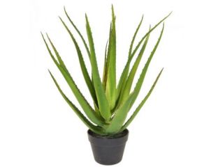 58cm Bonsai Aloe Potted Artificial Plant