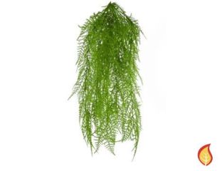 68cm Fern Hanging - Green (Fire Resistant)
