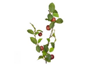 109cm (3.5ft) Apple Foliage with Red Fruit