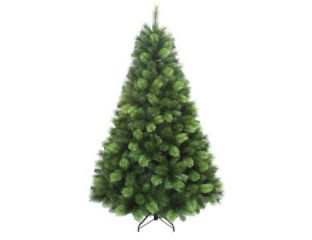 8Ft (240cm) Lucania Pine