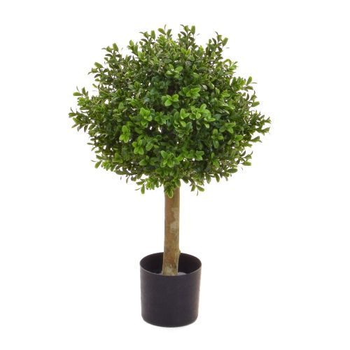 30cm Topiary Buxus Ball