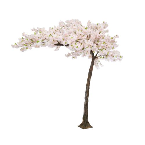 11ft (320cm) MultiBranch Canopy Tree Cherry Blossom – Pink