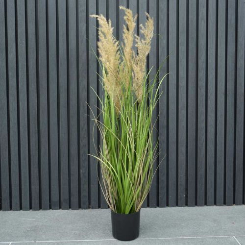 3ft (92cm) Outdoor Living Onion Grass Cream