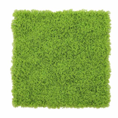 (100cm x 100cm) Green Moss Wall Panel (UV Resistant)