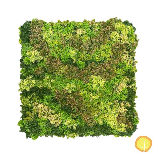 Mixed Moss Wall Panel 1m x 1m (UV Resistant)