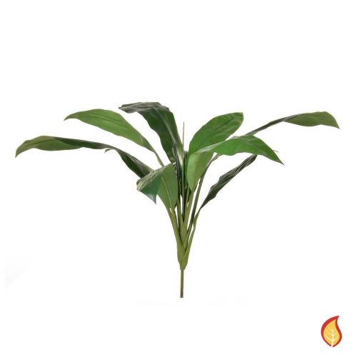 74cm Cordyline Green Foliage (Fire Resistant)