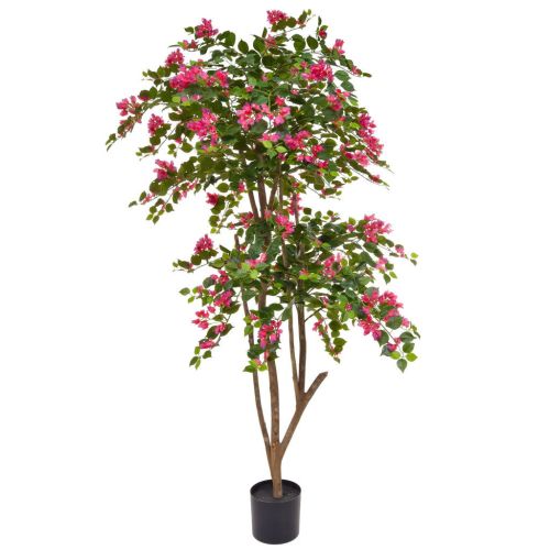 180cm Flowering Bougainvillea - Pink (Natural Tree Trunk)