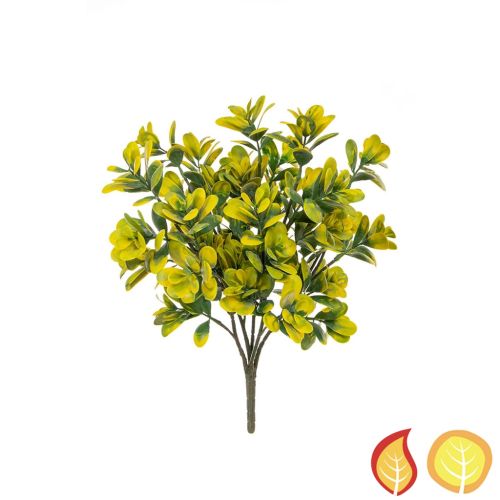 40cm Boxwood Bush Green and Yellow (Fire Resistant & UV Protected)